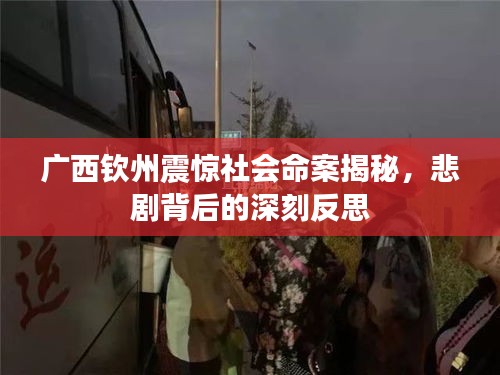 廣西欽州震驚社會(huì)命案揭秘，悲劇背后的深刻反思