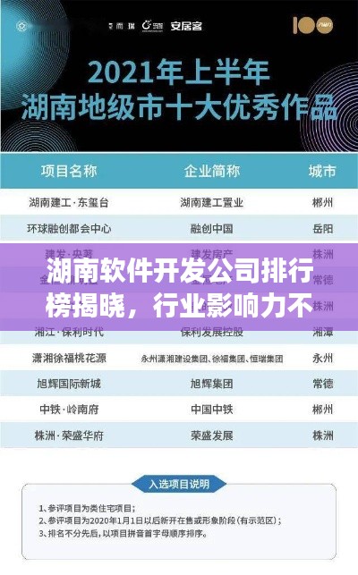 湖南軟件開發(fā)公司排行榜揭曉，行業(yè)影響力不容小覷！