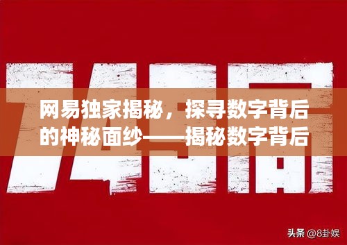 網(wǎng)易獨(dú)家揭秘，探尋數(shù)字背后的神秘面紗——揭秘?cái)?shù)字背后的故事，揭開(kāi)神秘面紗探尋真相（網(wǎng)易獨(dú)家報(bào)道）
