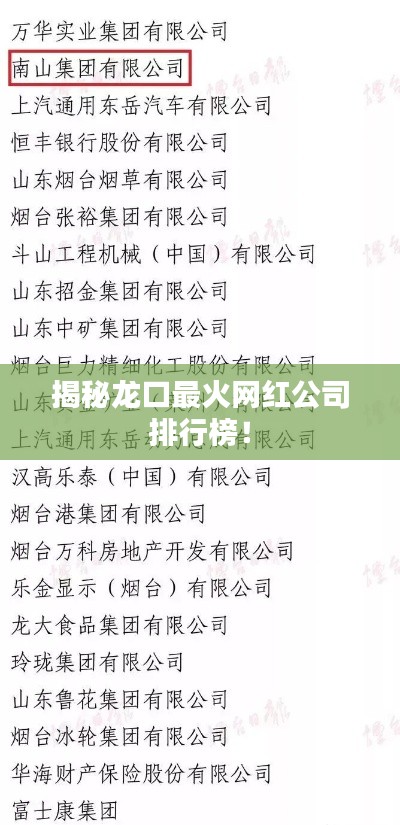 揭秘龍口最火網(wǎng)紅公司排行榜！
