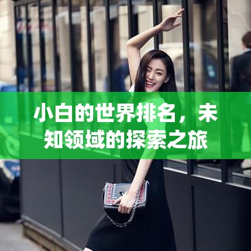 小白的世界排名，未知領(lǐng)域的探索之旅