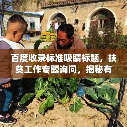 百度收錄標(biāo)準(zhǔn)吸睛標(biāo)題，扶貧工作專題詢問，揭秘有效舉措，助力脫貧攻堅戰(zhàn)！