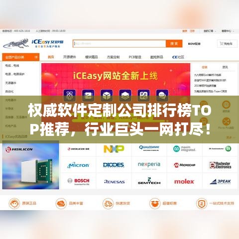 權(quán)威軟件定制公司排行榜TOP推薦，行業(yè)巨頭一網(wǎng)打盡！