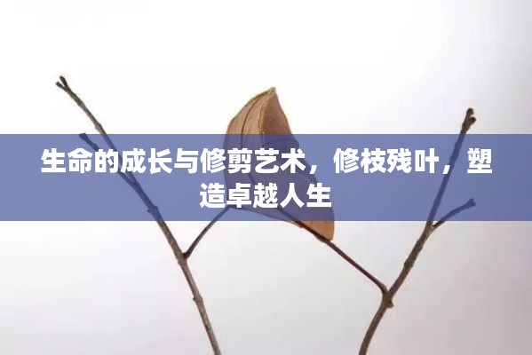 生命的成長與修剪藝術(shù)，修枝殘葉，塑造卓越人生
