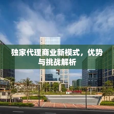 獨家代理商業(yè)新模式，優(yōu)勢與挑戰(zhàn)解析