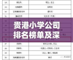 貴港小學(xué)公司排名榜單及深度概述