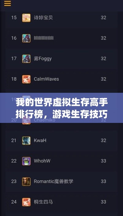 我的世界虛擬生存高手排行榜，游戲生存技巧大揭秘