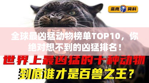 全球最兇猛動物榜單TOP10，你絕對想不到的兇猛排名！