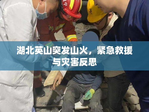湖北英山突發(fā)山火，緊急救援與災(zāi)害反思