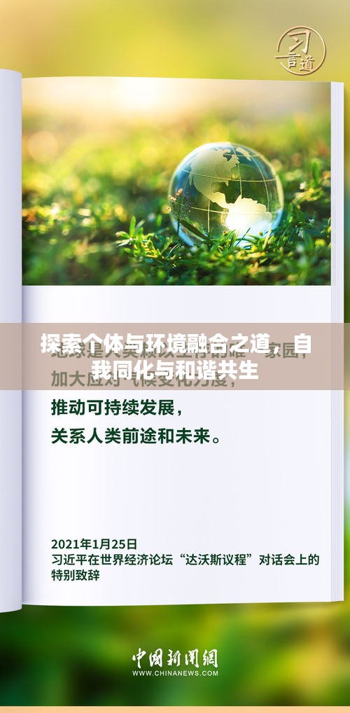 探索個(gè)體與環(huán)境融合之道，自我同化與和諧共生